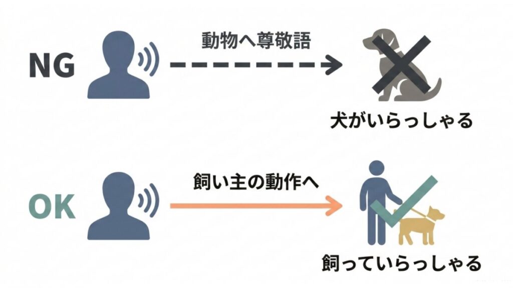 NGの「犬がいらっしゃる」とOKの「飼っていらっしゃる」を比較した敬語図解