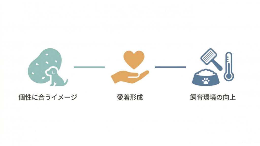 ペットの個性に合うイメージから愛着形成と飼育環境向上へつながる図解