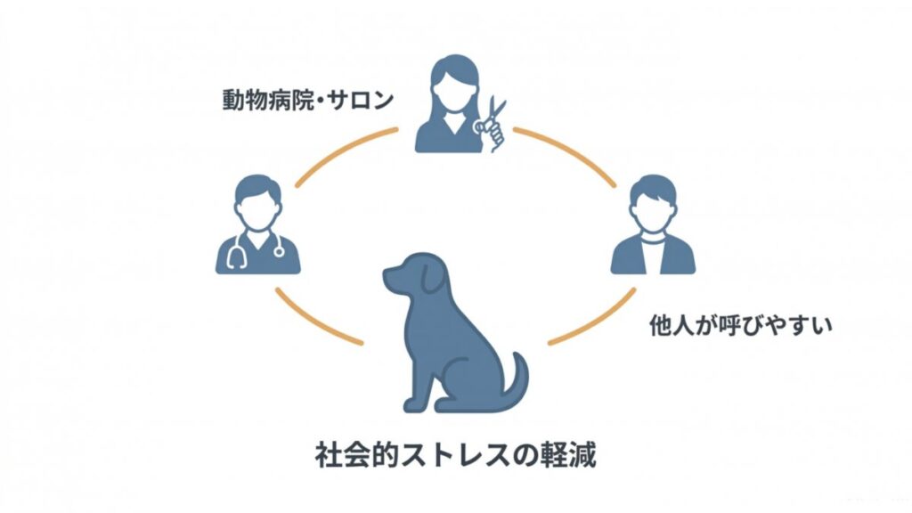 動物病院・サロン・他人が呼びやすい名前と社会的ストレス軽減の関係図