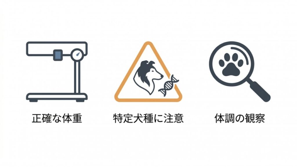 ガリプラント投与時の体重、特定犬種、体調観察の確認項目を示すアイコン図
