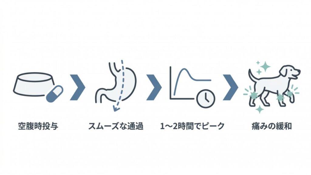 ガリプラントの空腹時投与から血中濃度ピーク、痛みの緩和までを示すステップ図