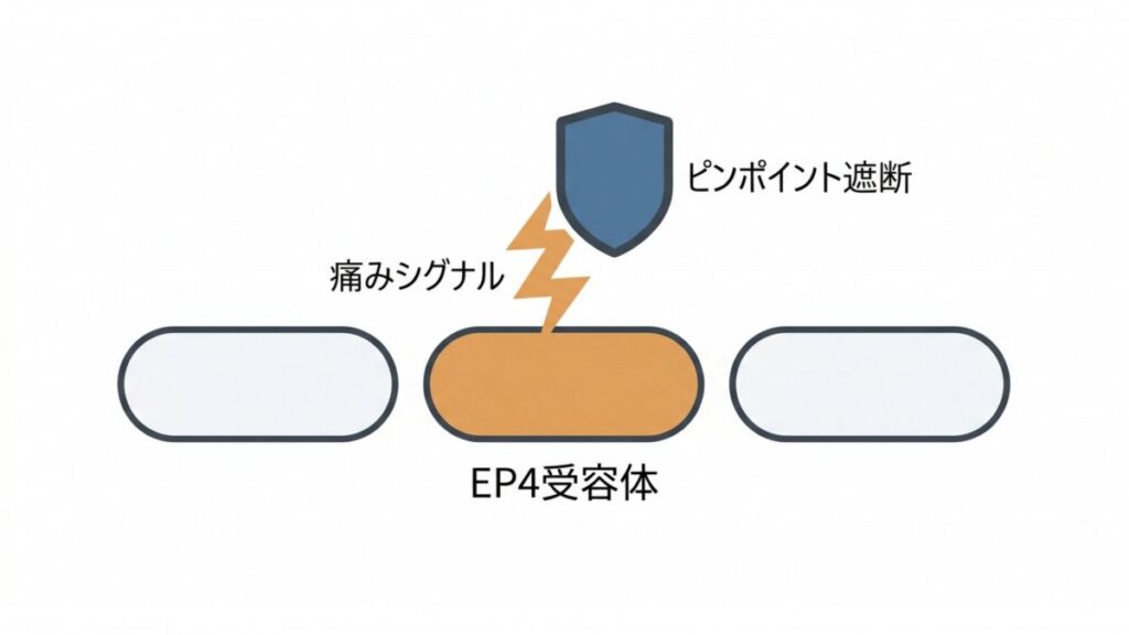 グラピプラントとEP4受容体における痛みシグナル遮断の関係を示す解説図