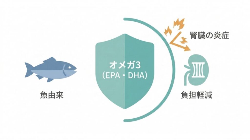 魚由来オメガ3脂肪酸EPA・DHAと腎臓の炎症負担軽減を示す図解