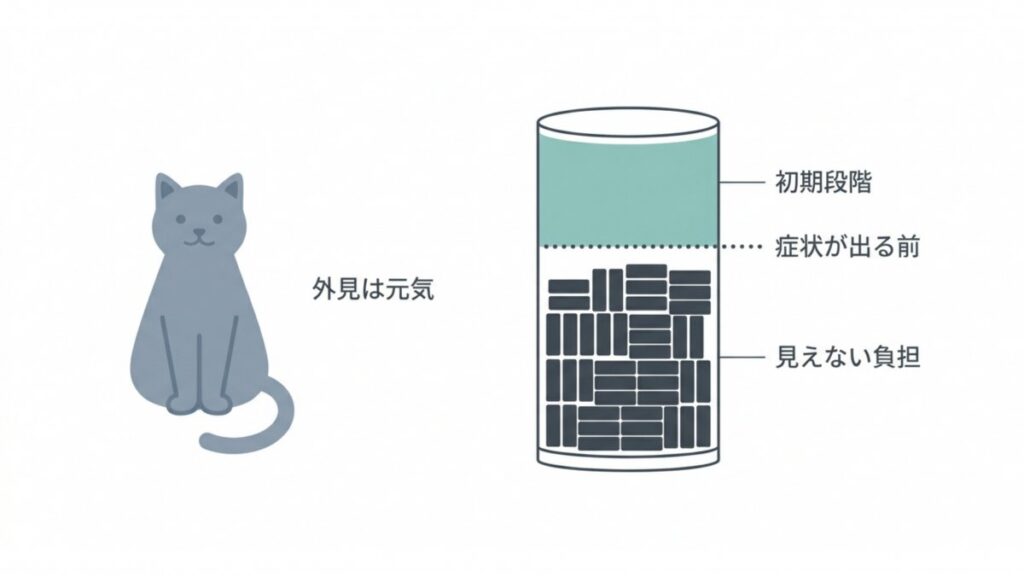 猫の慢性腎臓病で症状が出る前の見えない腎臓負担を示す円柱図解