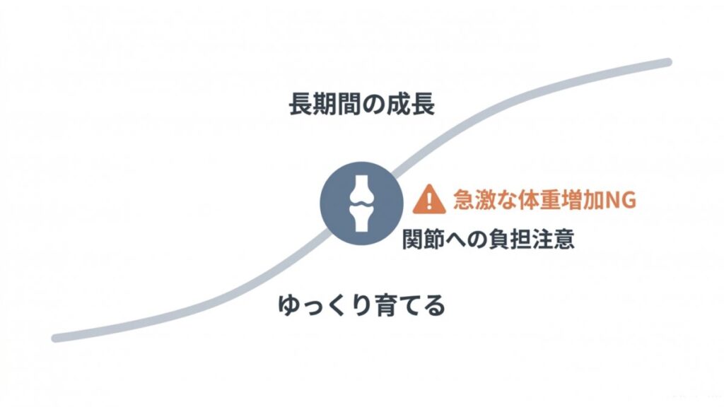 大型犬の長期間の成長と、急激な体重増加による関節負担を示す解説図