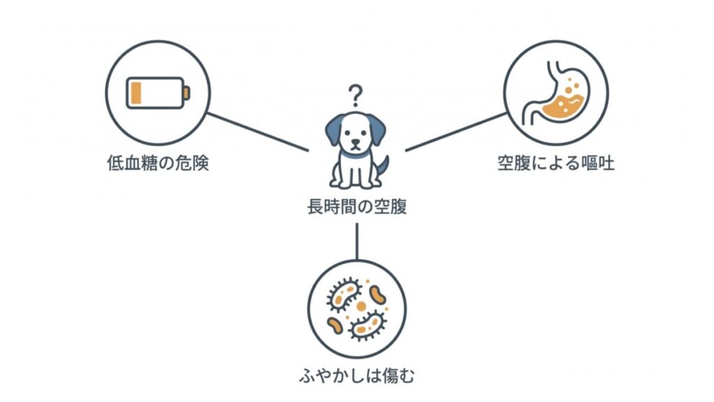 長時間の空腹から低血糖、空腹嘔吐、ふやかしフードの傷みへつながる子犬のリスク図
