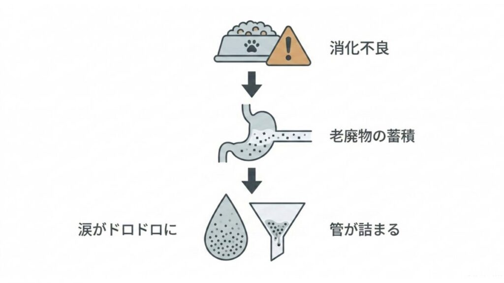 消化不良から老廃物の蓄積、涙のどろつき、管の詰まりへ進む流れを示す図解