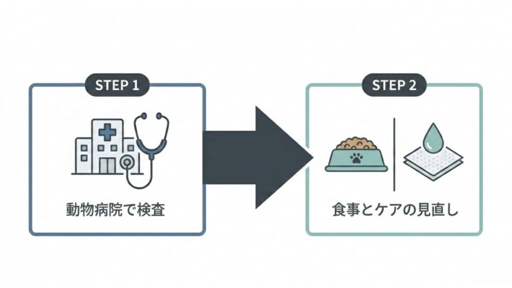 涙やけ対策として、動物病院での検査から食事と目元ケアの見直しへ進むステップ図