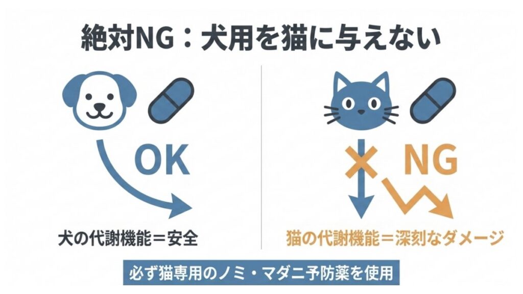 犬用薬は犬のみ使用可で、猫への投与がNGと示す犬猫対比の注意イラスト
