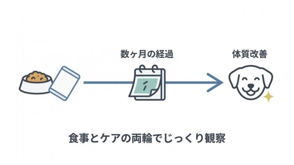 食事変更と日常ケアを続け、数ヶ月の経過観察で体質改善への変化を追う流れを示した解説図