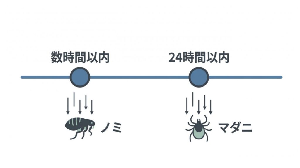 投与後の作用時間として、ノミは数時間以内、マダニは24時間以内の駆除を示す時間図