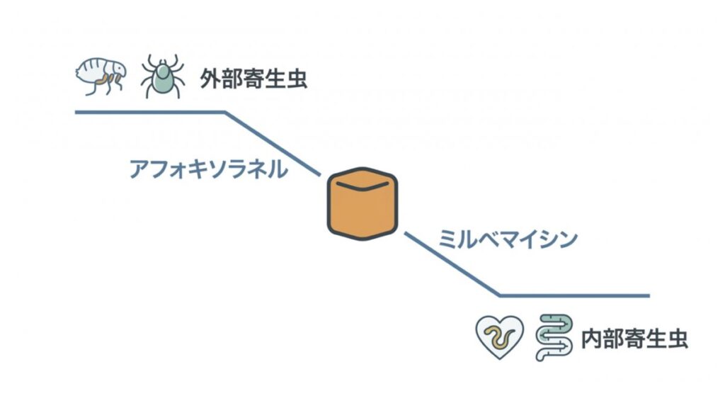 アフォキソラネルとミルベマイシンの組み合わせで、外部寄生虫と内部寄生虫を示す模式図