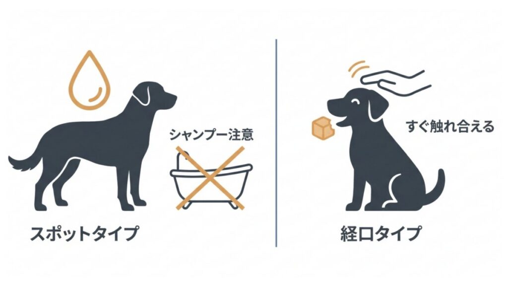 スポットタイプと経口タイプを並べ、シャンプー制限と接触可否を示した比較イラスト