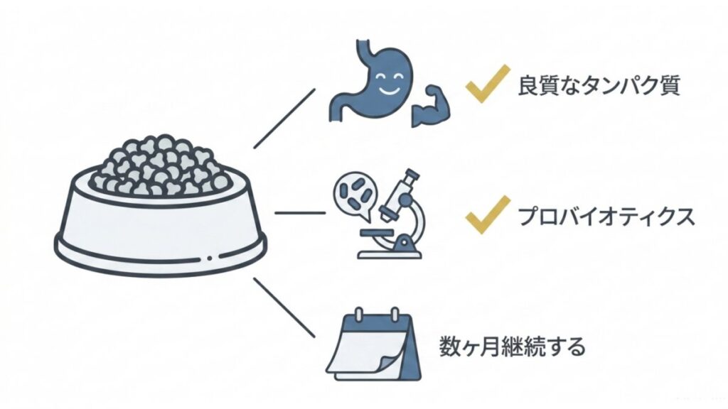 ドッグフードの見直しで、良質なタンパク質とプロバイオティクスを確認する図解
