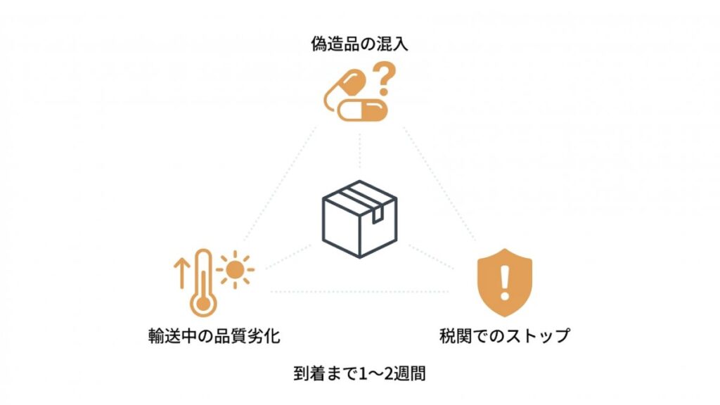 偽造品混入、輸送中の品質劣化、税関停止と到着目安を示すリスク図解