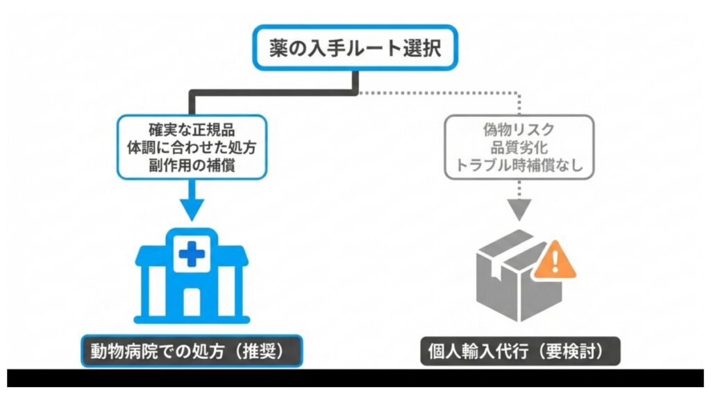 薬の入手ルートを動物病院処方と個人輸入代行に分けて比較したフローチャート