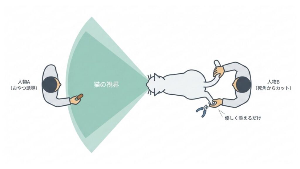 猫の視界を避け、おやつ役と爪切り役で分担する保定手順の図