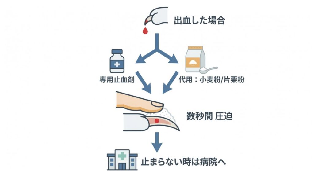 深爪で出血した際の止血剤、圧迫止血、受診判断を示すフロー図