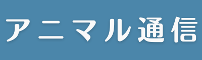 アニマル通信