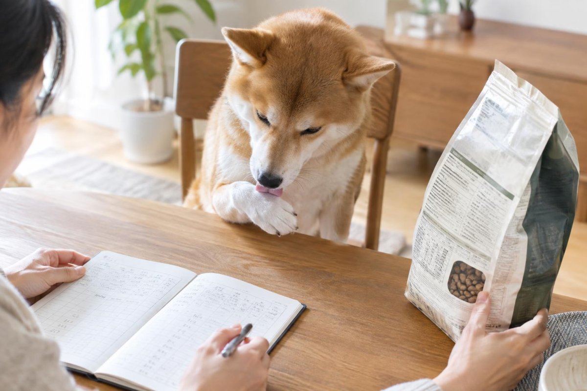 犬の食べ物アレルギーとは？症状・原因になりやすい食材・確認方法を解説