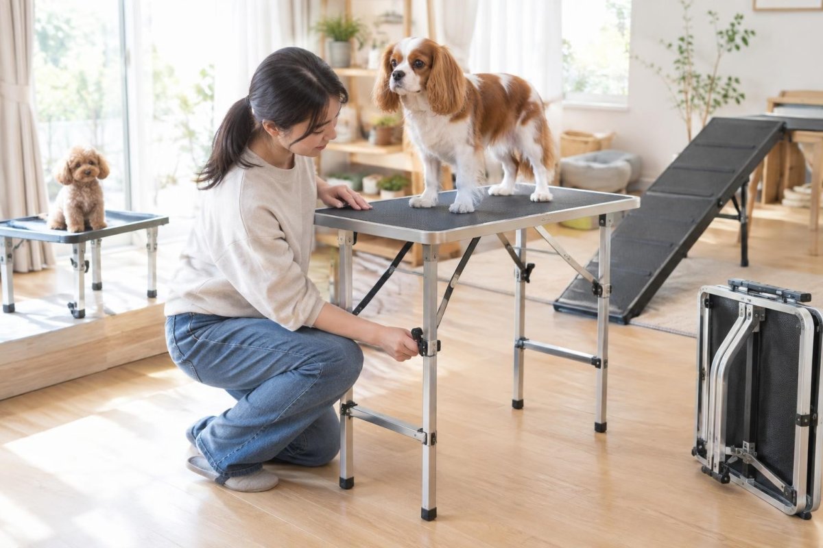 犬用トリミングテーブルの選び方｜大型犬・小型犬・折りたたみ・代用品まで解説