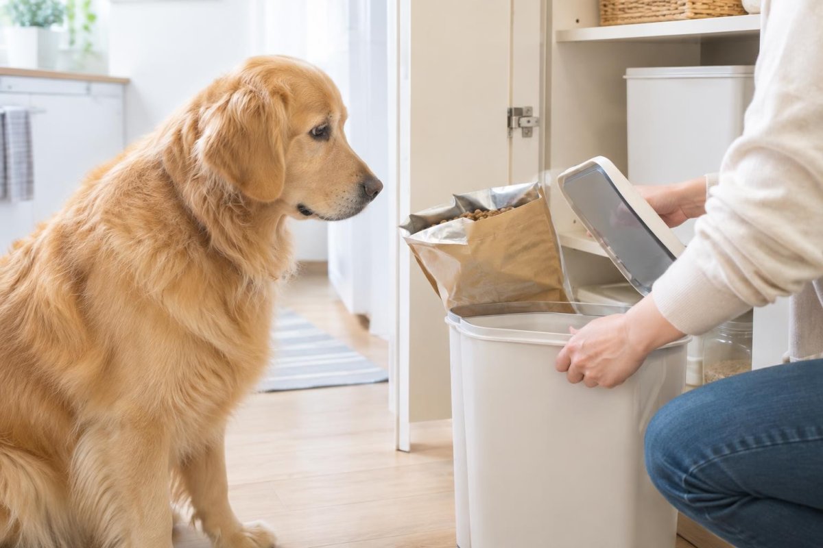 犬がドッグフードを盗み食いする原因は？防止策と食べ過ぎた時の対処