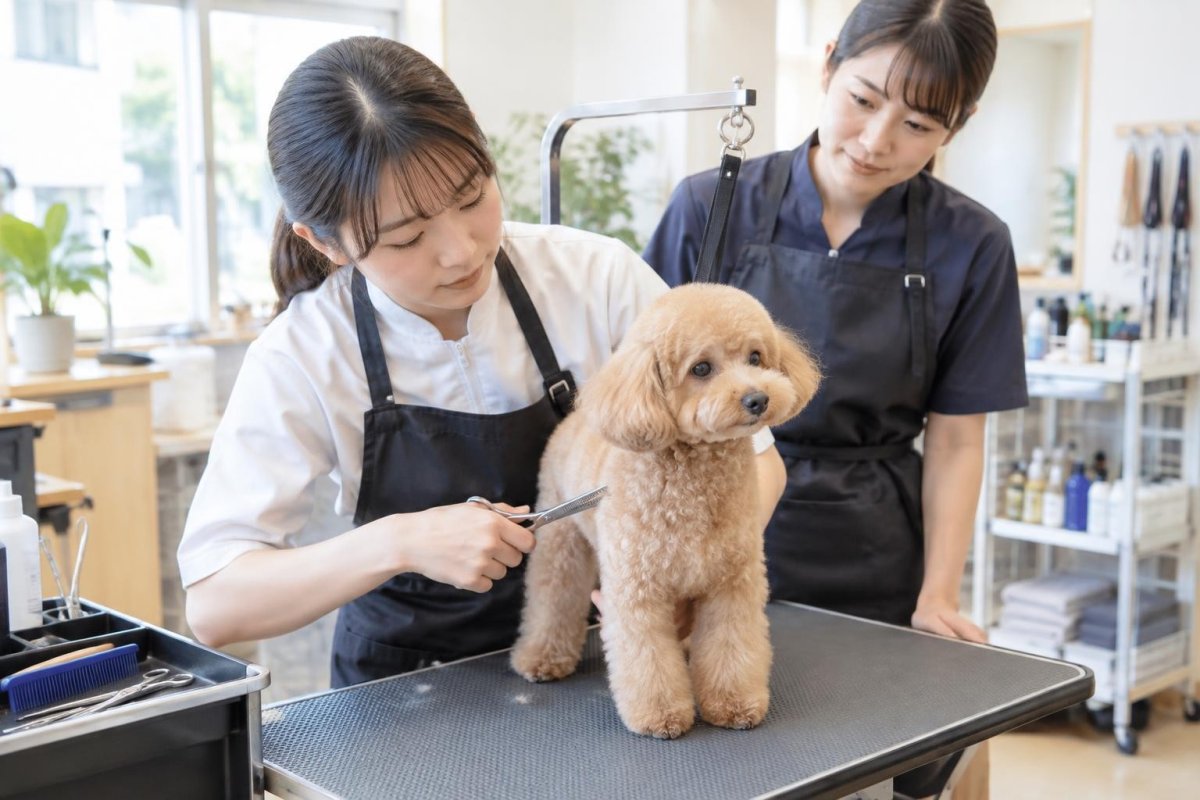 江戸川区の犬トリミングモデル募集を探す方法｜料金・応募条件・注意点