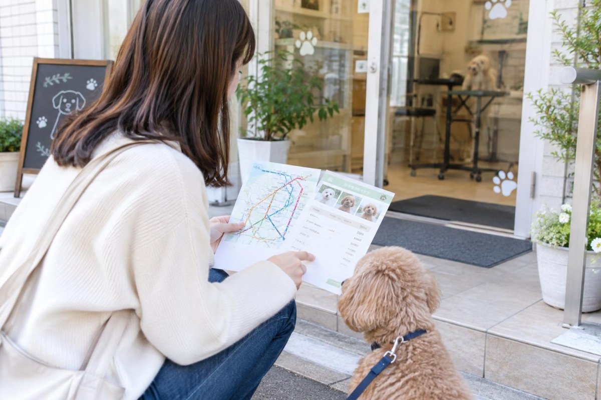 平野区で犬のトリミングを探す方法｜料金・サービス・サロン選びを解説