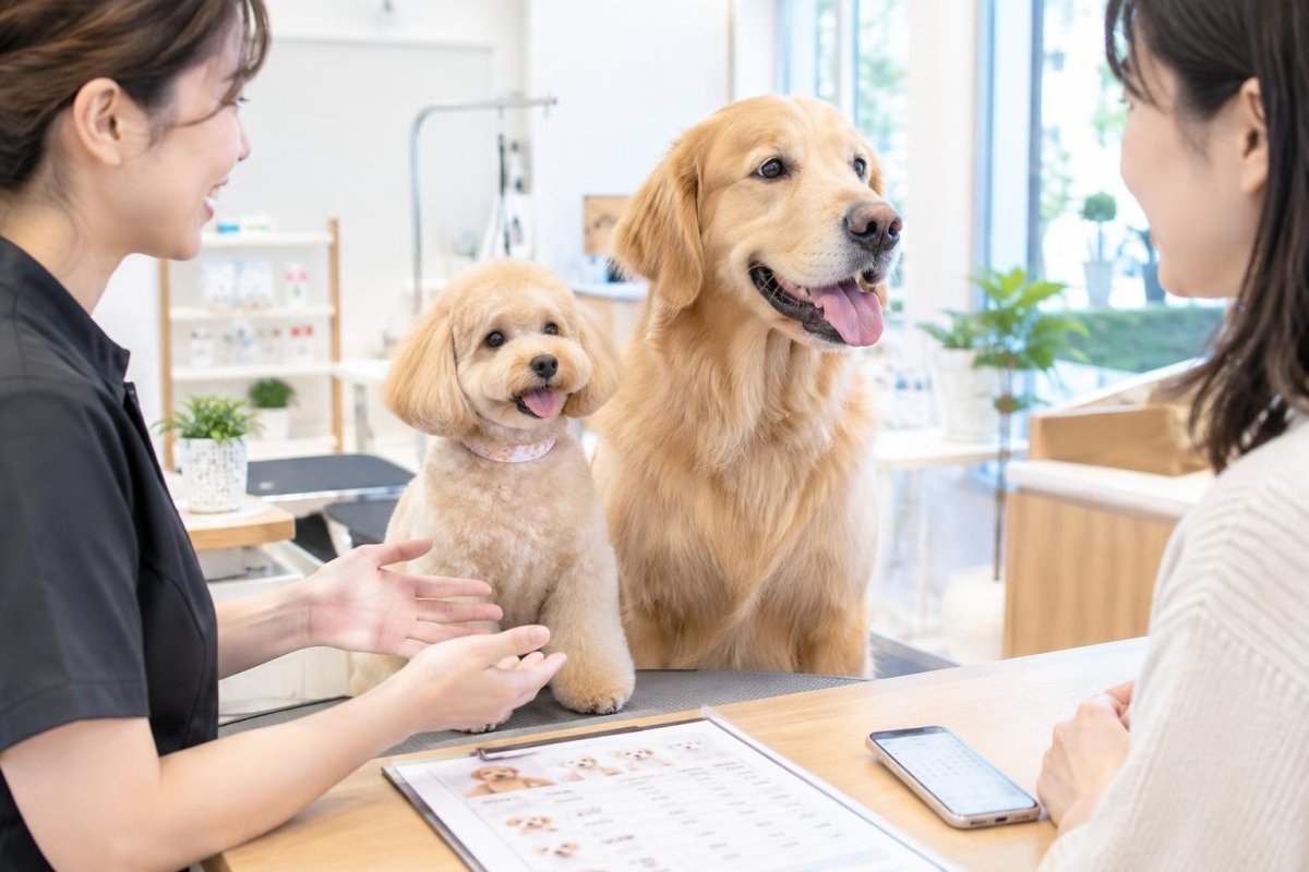 近くの犬トリミングサロンの探し方｜料金・口コミ・送迎・予約で失敗しない選び方